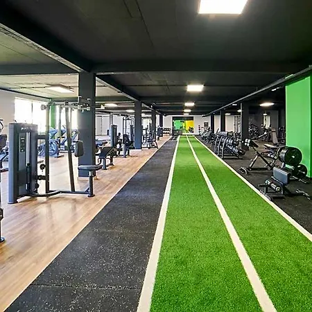 Lounge 阿尔布费拉